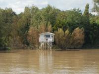 Carrelet