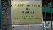 Jardin botanique de Madère
