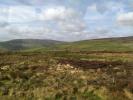 Paysage Connemara