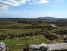 Paysage O Hara