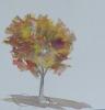 Couleur d'automne