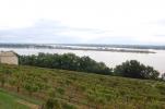 Route de la Corniche - Vignoble